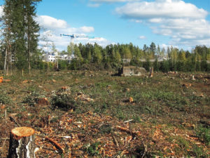 Service de déboisement à Montréal-Est - Service d’arbres Messier à l'Épiphanie